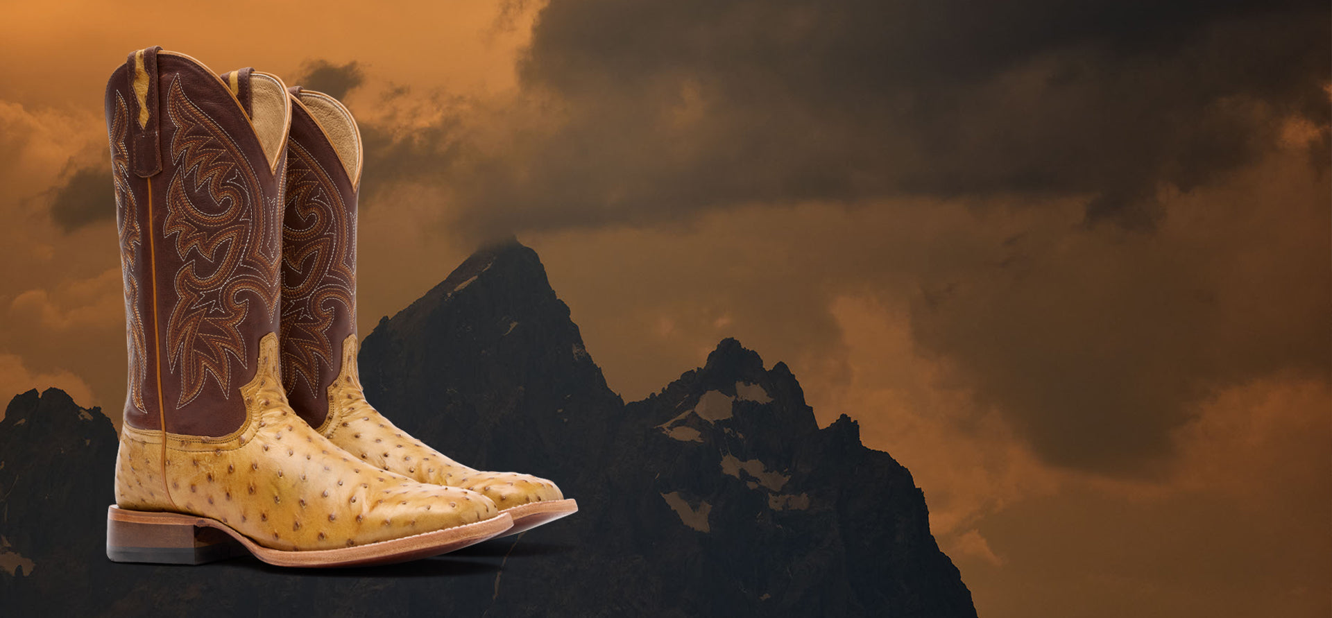 Cowboy boot with detailed design on a mountainous landscape