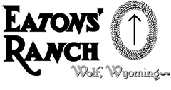 Logo of Eatons' Ranch with a stylized arrow in Wolf, Wyoming