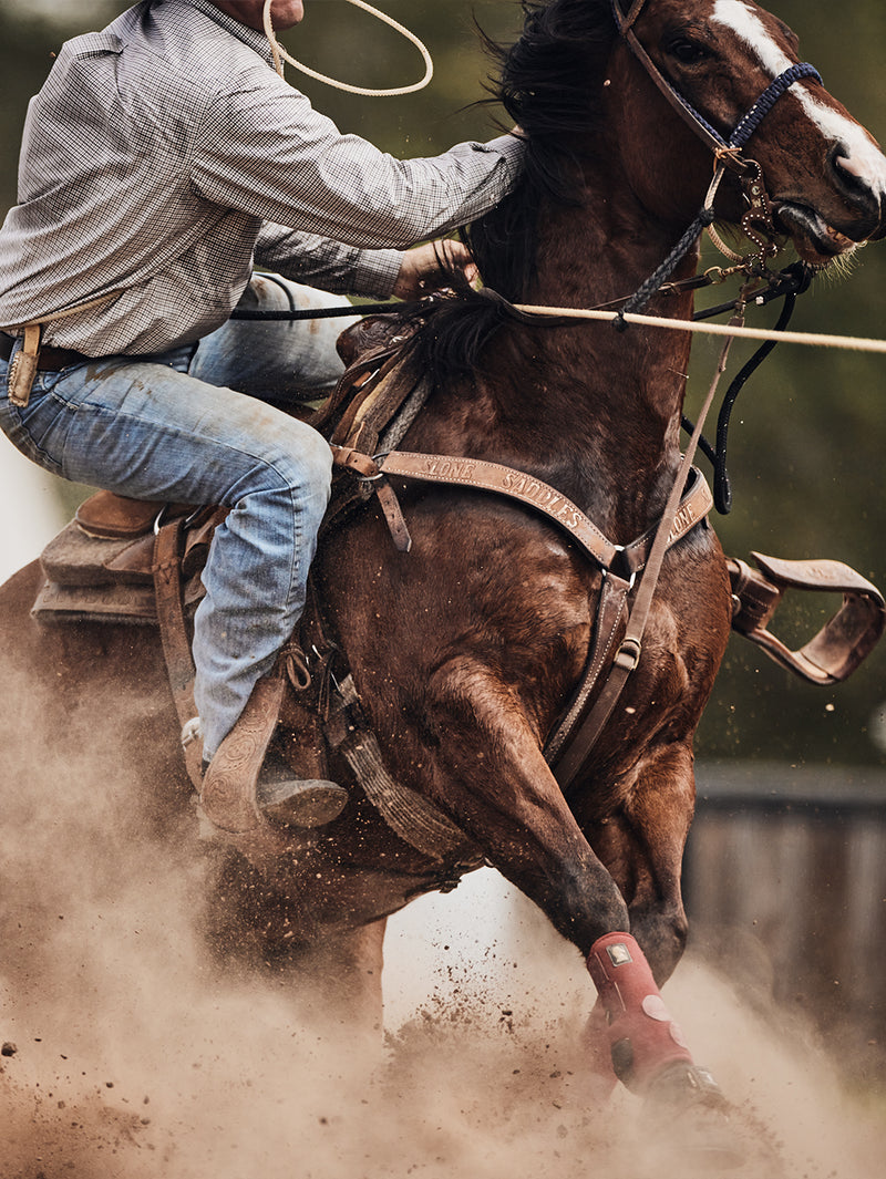 Person riding a brown horse in a dusty environment