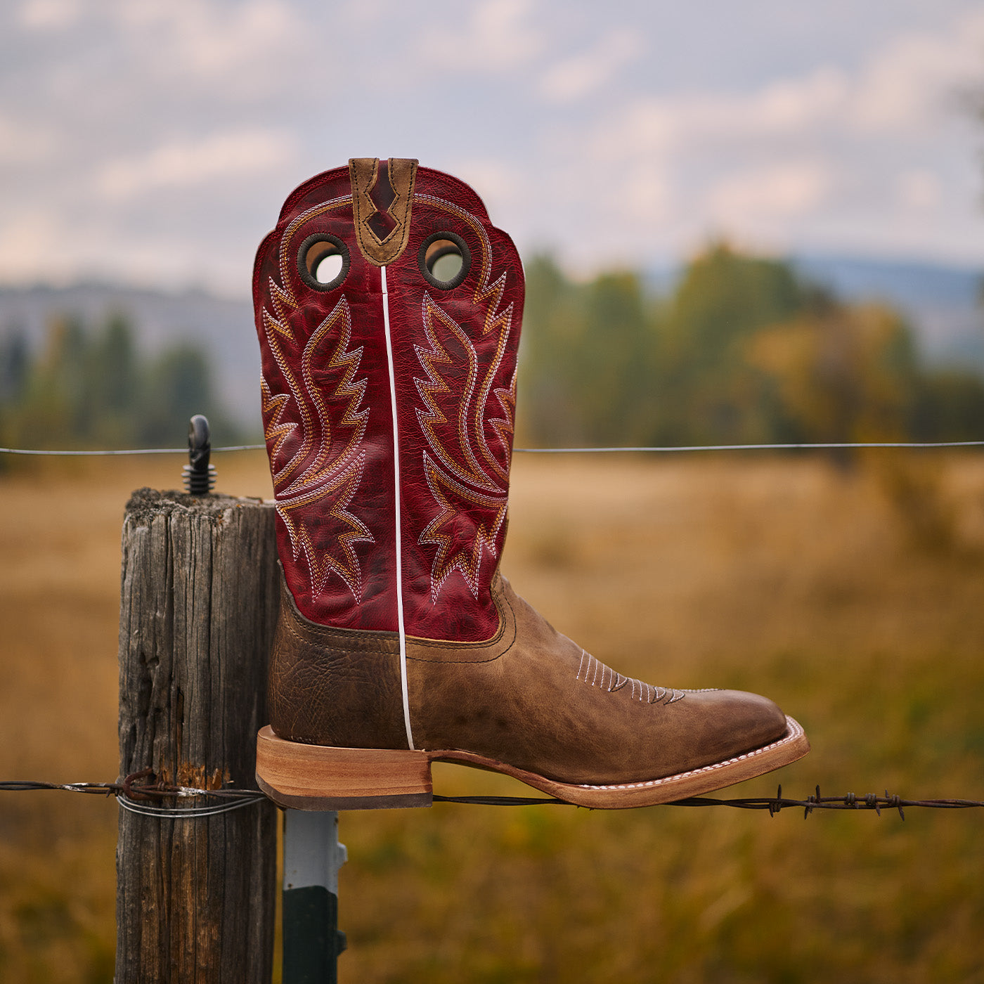 Brown cowboy boot with red shaft on a wooden post in a field