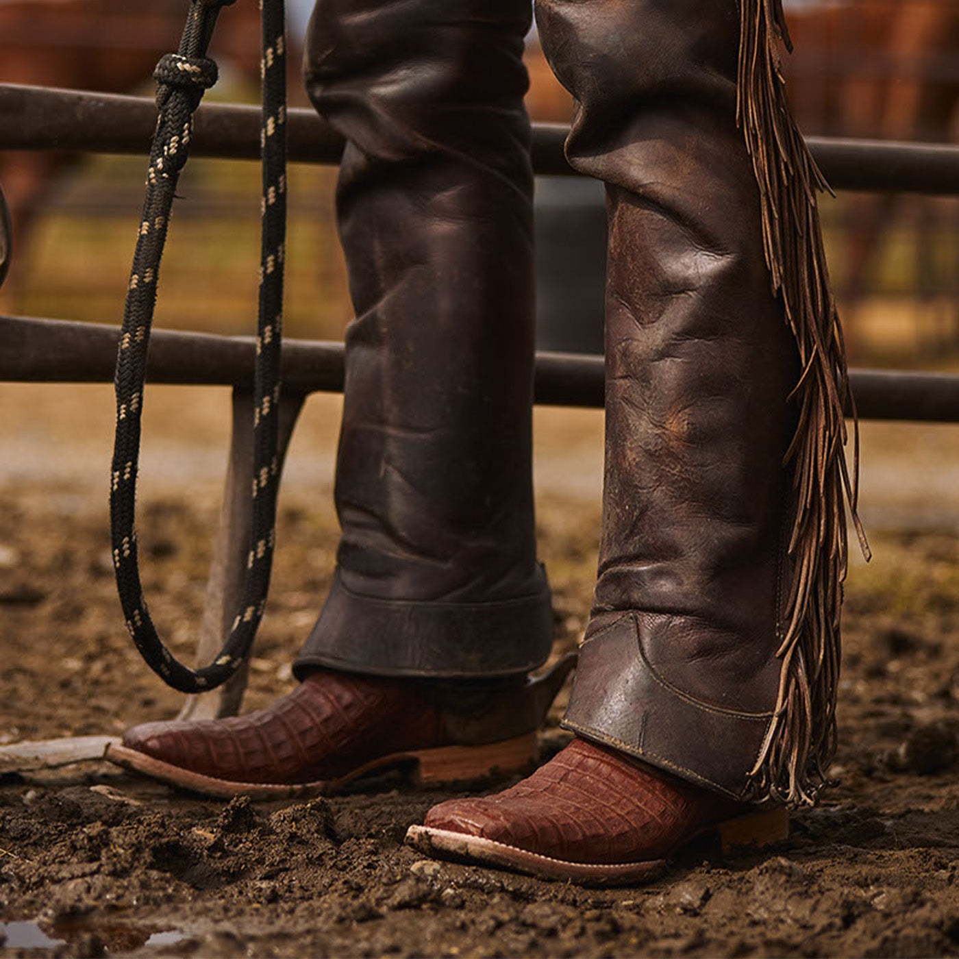 27cm DURANGO デュランゴ サイドジップ バーガンディ P4584 Durango® Men's PRCA Collection Caiman Belly Western Boot – Durango